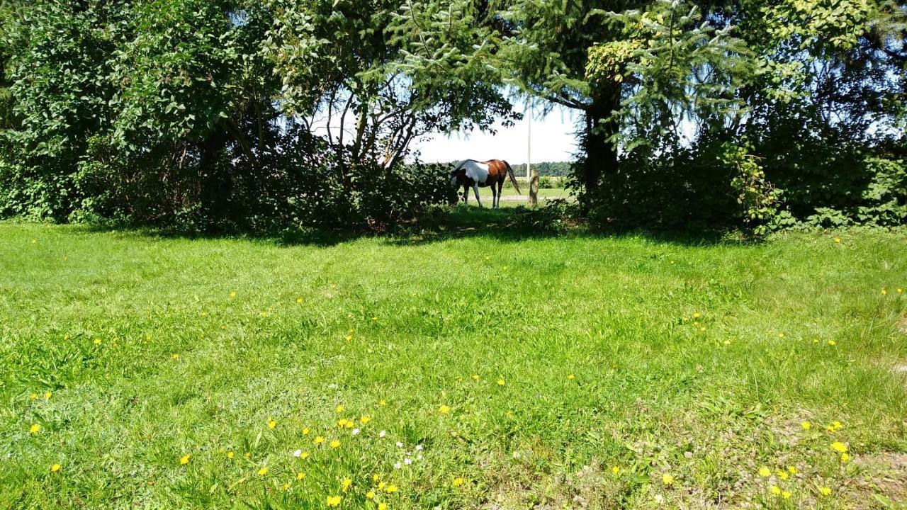 Urlaub Bei Hauenstein Διαμέρισμα Born Εξωτερικό φωτογραφία