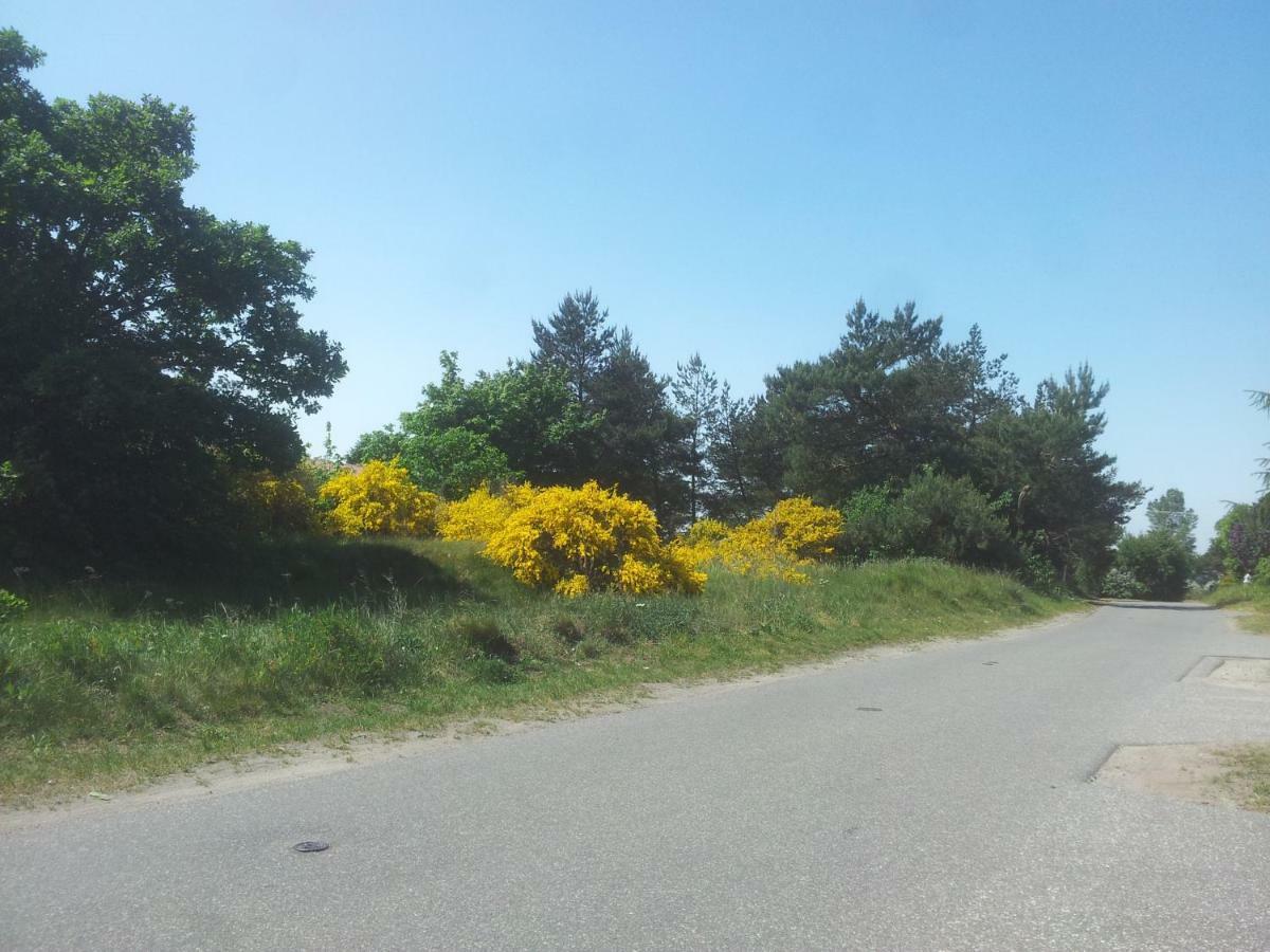 Urlaub Bei Hauenstein Διαμέρισμα Born Εξωτερικό φωτογραφία
